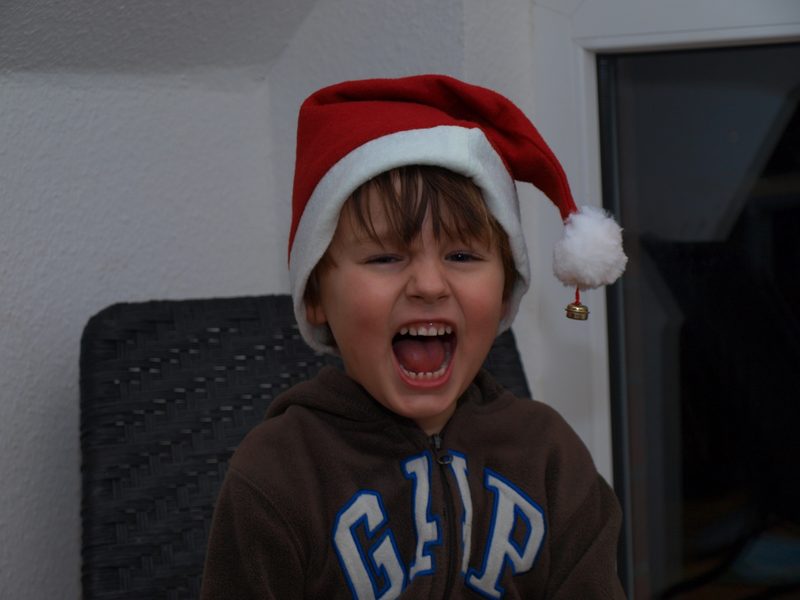 Merlin mit Weihnachtsmütze