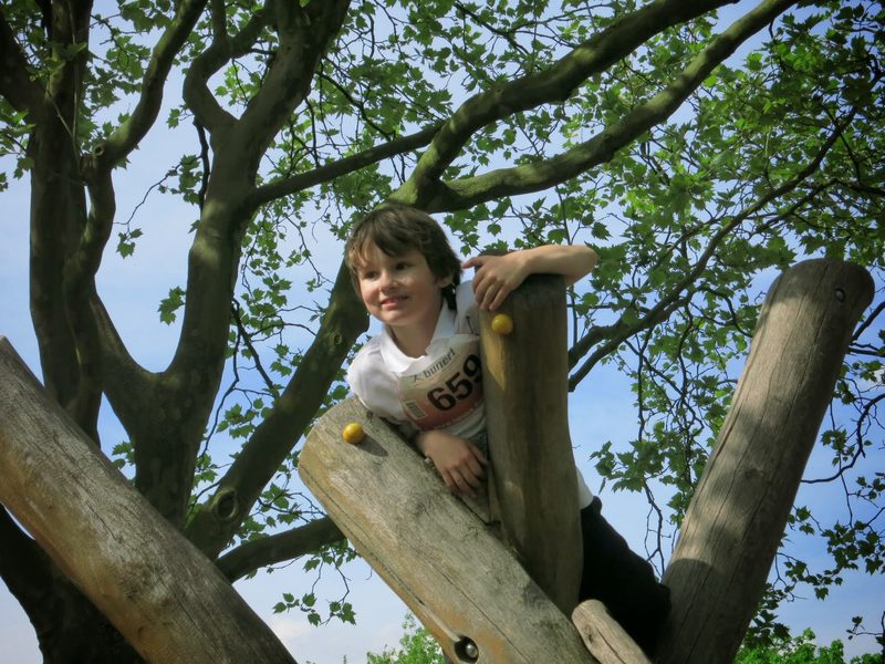 Merlin klettert in einem Baum