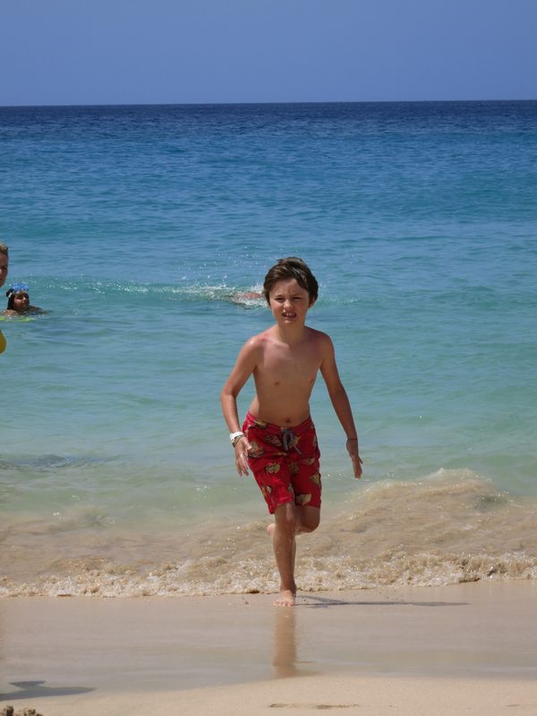 Merlin kommt aus dem Meer, Fuerteventura